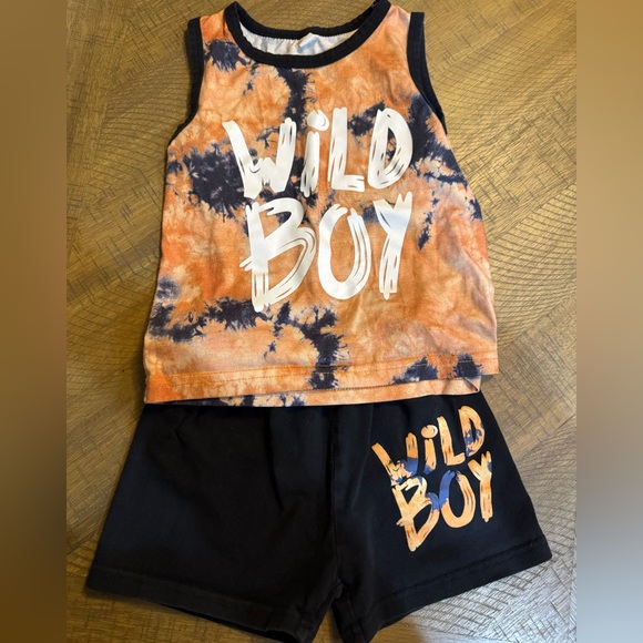 BUNDLE!! Four Toddler Boy 2T outfits - Picture 6 of 9